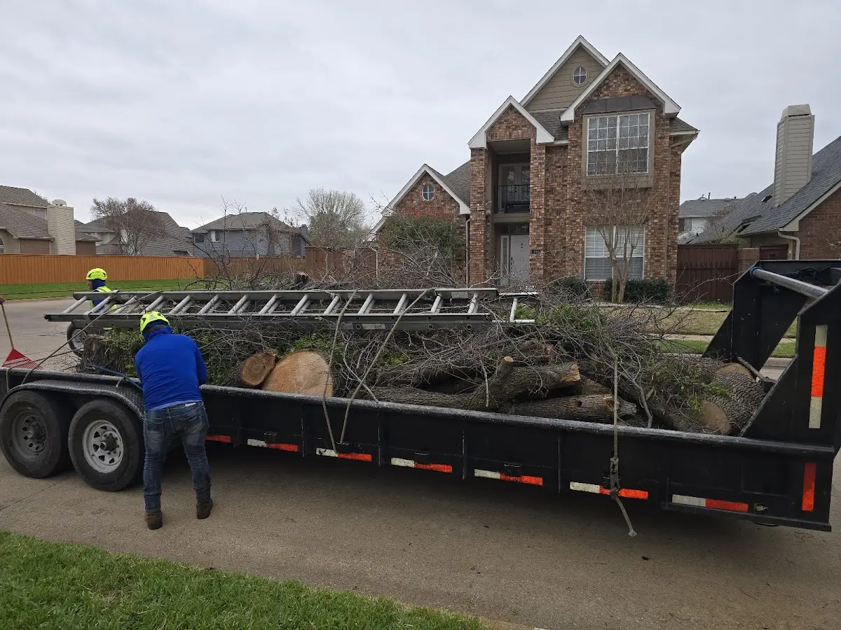 Expert Crown Reduction with proper safety equipment in Pearisburg